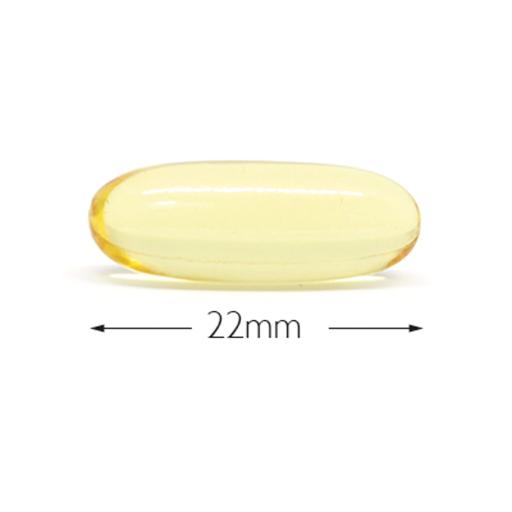 Fish Oil Capsules 120 Caps